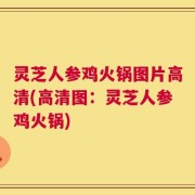 灵芝人参鸡火锅图片高清(高清图：灵芝人参鸡火锅)