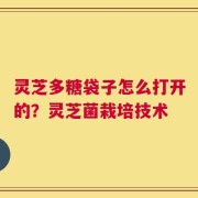 灵芝多糖袋子怎么打开的？灵芝菌栽培技术