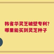 韩省华灵芝破壁专利？哪里能买到灵芝种子
