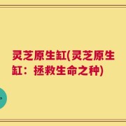 灵芝原生缸(灵芝原生缸：拯救生命之种)