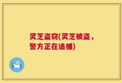 灵芝盗窃(灵芝被盗，警方正在追捕)