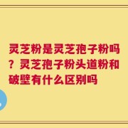 灵芝粉是灵芝孢子粉吗？灵芝孢子粉头道粉和破壁有什么区别吗