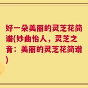 好一朵美丽的灵芝花简谱(妙曲怡人，灵芝之音：美丽的灵芝花简谱)