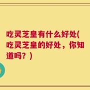 吃灵芝皇有什么好处(吃灵芝皇的好处，你知道吗？)