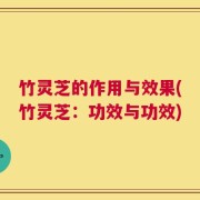 竹灵芝的作用与效果(竹灵芝：功效与功效)