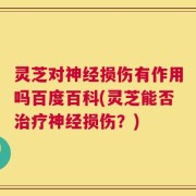 灵芝对神经损伤有作用吗百度百科(灵芝能否治疗神经损伤？)