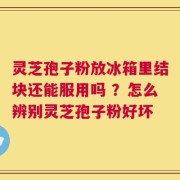 灵芝孢子粉放冰箱里结块还能服用吗 ？怎么辨别灵芝孢子粉好坏
