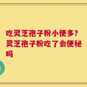 吃灵芝孢子粉小便多？灵芝孢子粉吃了会便秘吗