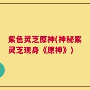 紫色灵芝原神(神秘紫灵芝现身《原神》)