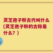 灵芝孢子粉古代叫什么(灵芝孢子粉的古称是什么？)