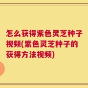 怎么获得紫色灵芝种子视频(紫色灵芝种子的获得方法视频)