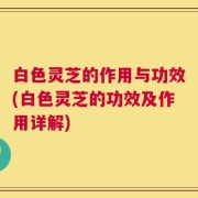 白色灵芝的作用与功效(白色灵芝的功效及作用详解)