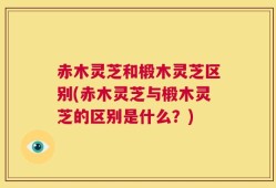 赤木灵芝和椴木灵芝区别(赤木灵芝与椴木灵芝的区别是什么？)