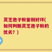灵芝孢子粉鉴别好坏(如何判断灵芝孢子粉的优劣？)