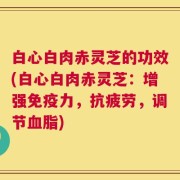白心白肉赤灵芝的功效(白心白肉赤灵芝：增强免疫力，抗疲劳，调节血脂)