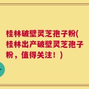 桂林破壁灵芝孢子粉(桂林出产破壁灵芝孢子粉，值得关注！)