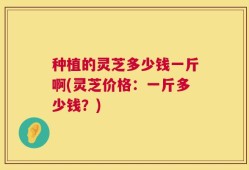 种植的灵芝多少钱一斤啊(灵芝价格：一斤多少钱？)