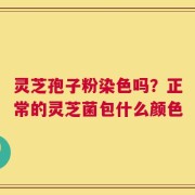 灵芝孢子粉染色吗？正常的灵芝菌包什么颜色