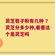 灵芝苞子粉有几种 ？灵芝分多少种,看看这个是灵芝吗