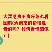 大灵芝贵不贵呀怎么看图解(大灵芝的价格是贵的吗？如何看懂图像？)