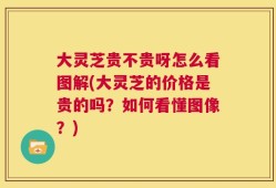 大灵芝贵不贵呀怎么看图解(大灵芝的价格是贵的吗？如何看懂图像？)