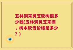 五林洞采灵芝砍树根多少钱(五林洞灵芝采摘，树木砍伐价格是多少？)
