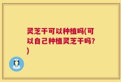 灵芝干可以种植吗(可以自己种植灵芝干吗？)