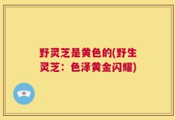 野灵芝是黄色的(野生灵芝：色泽黄金闪耀)
