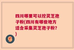 四川哪里可以挖灵芝孢子粉(四川有哪些地方适合采集灵芝孢子粉？)