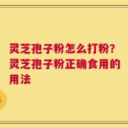 灵芝孢子粉怎么打粉？灵芝孢子粉正确食用的用法