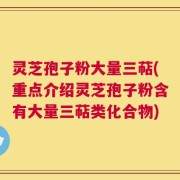灵芝孢子粉大量三萜(重点介绍灵芝孢子粉含有大量三萜类化合物)