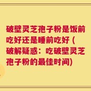 破壁灵芝孢子粉是饭前吃好还是睡前吃好 (破解疑惑：吃破壁灵芝孢子粉的最佳时间)