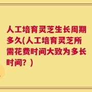 人工培育灵芝生长周期多久(人工培育灵芝所需花费时间大致为多长时间？)