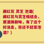 藏红花 灵芝 泡酒(藏红花与灵芝相结合，原酒换新味，有了这个好消息，你还不赶紧泡酒？)