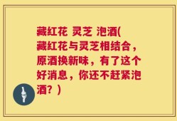 藏红花 灵芝 泡酒(藏红花与灵芝相结合，原酒换新味，有了这个好消息，你还不赶紧泡酒？)