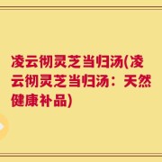 凌云彻灵芝当归汤(凌云彻灵芝当归汤：天然健康补品)