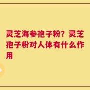 灵芝海参孢子粉？灵芝孢子粉对人体有什么作用
