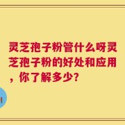 灵芝孢子粉管什么呀灵芝孢子粉的好处和应用，你了解多少？