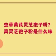 虫草黄芪灵芝孢子粉？真灵芝孢子粉是什么味