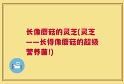 长像蘑菇的灵芝(灵芝——长得像蘑菇的超级营养菌!)