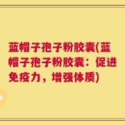 蓝帽子孢子粉胶囊(蓝帽子孢子粉胶囊：促进免疫力，增强体质)