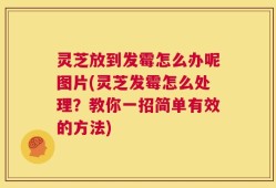 灵芝放到发霉怎么办呢图片(灵芝发霉怎么处理？教你一招简单有效的方法)