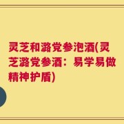 灵芝和潞党参泡酒(灵芝潞党参酒：易学易做精神护盾)