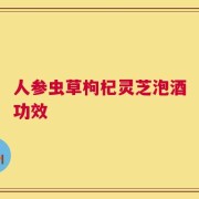 人参虫草枸杞灵芝泡酒功效