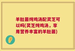羊肚菌炖鸡汤配灵芝可以吗(灵芝炖鸡汤，享用营养丰富的羊肚菌)