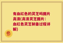 有血红色的灵芝吗图片高清(高清灵芝图片：血红色灵芝制备过程详解)