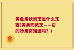 黄色条状灵芝是什么东西(黄条形灵芝——它的妙用你知道吗？)