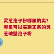 灵芝孢子粉哪里的卖？哪里可以买到正宗的灵芝破壁孢子粉