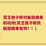 灵芝孢子粉对新冠病毒的功效(灵芝孢子粉抗新冠病毒有效？！)
