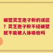 破壁灵芝孢子粉的误区？灵芝孢子粉不经破壁就不能被人体吸收吗